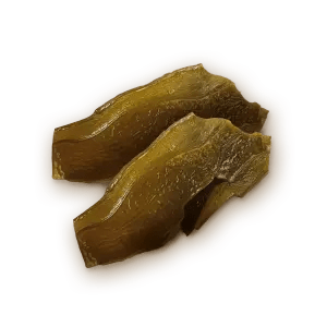 ALGA MARINA